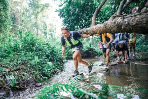 BIB: 
                            <button type="button" onclick="openModal(25455528)" class="btn btn-primary btn-sm float-right btn-popup" data-toggle="modal" data-target=".modal-high-quality">
                        <i class="fas fa-shopping-cart"></i> Add to Cart
                    </button>
                                            <button type="button" onclick="isThisMe(25455528, true)" class="btn btn-success btn-sm float-right btn-popup btn-isme hidden" data-toggle="tooltip" data-placement="bottom" title="นี่คือรูปของคุณใช่ไหม คลิกที่นี่เพื่อเอาเข้าอัลบั้ม">
                        <i class="fas fa-plus"></i> Add to album
                    </button>
                    <button type="button" onclick="isThisMe(25455528, false)" class="btn btn-warning btn-sm float-right btn-popup btn-isnotme hidden">
                        <i class="fas fa-ban"></i> Remove from album
                    </button>